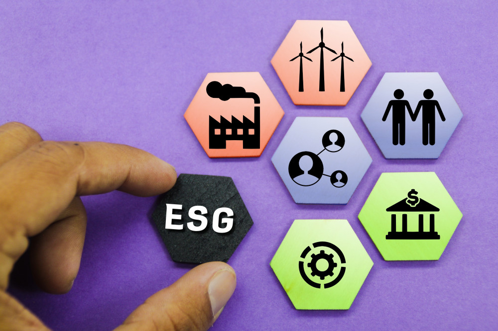 Responsabilités juridiques des entreprises en matière environnementale : un enjeu majeur pour les professionnels