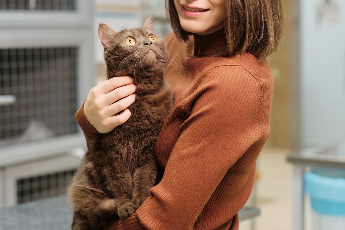 Les responsabilités légales des propriétaires d'animaux de compagnie