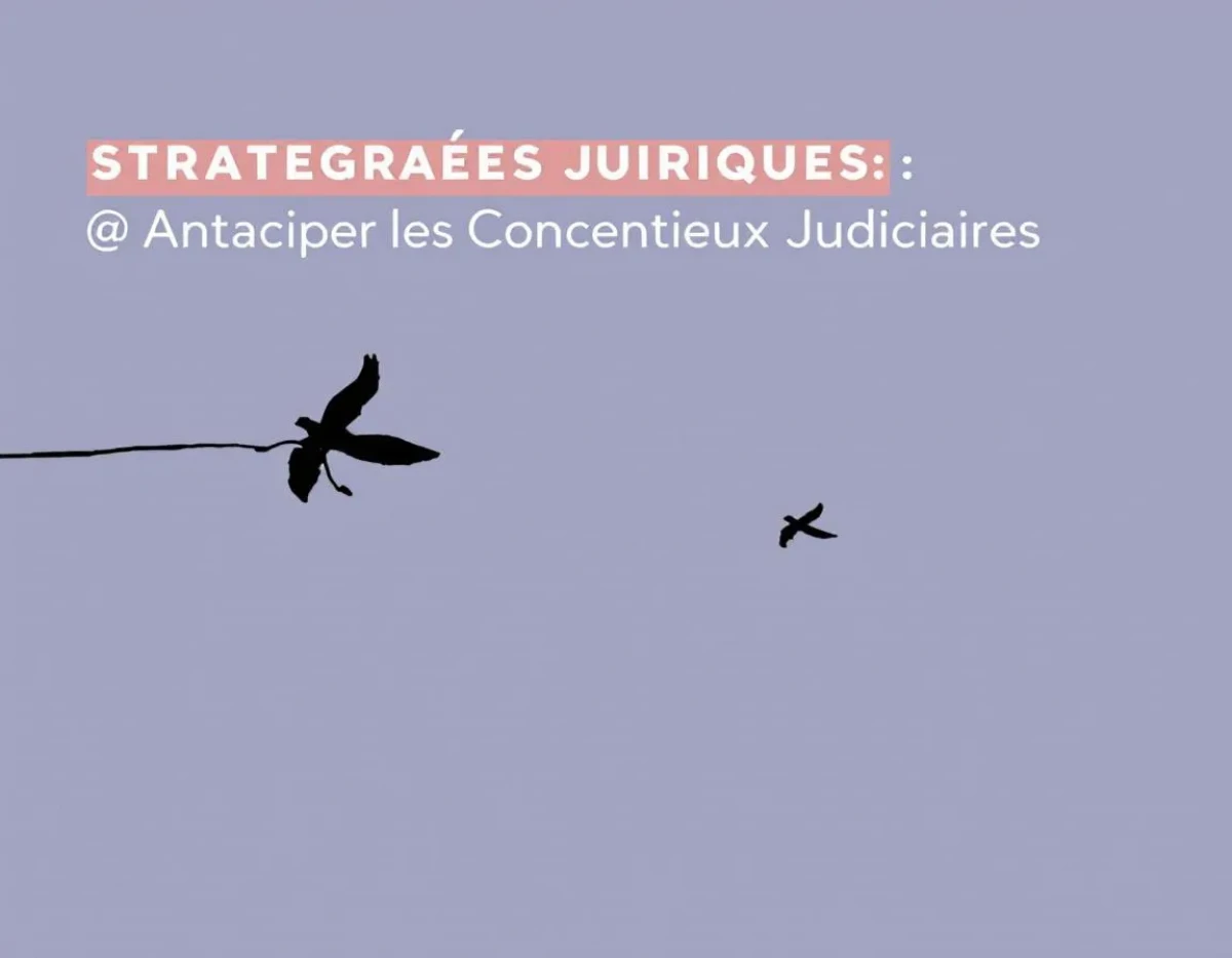 Stratégies Juridiques : Anticiper les Contentieux Judiciaires